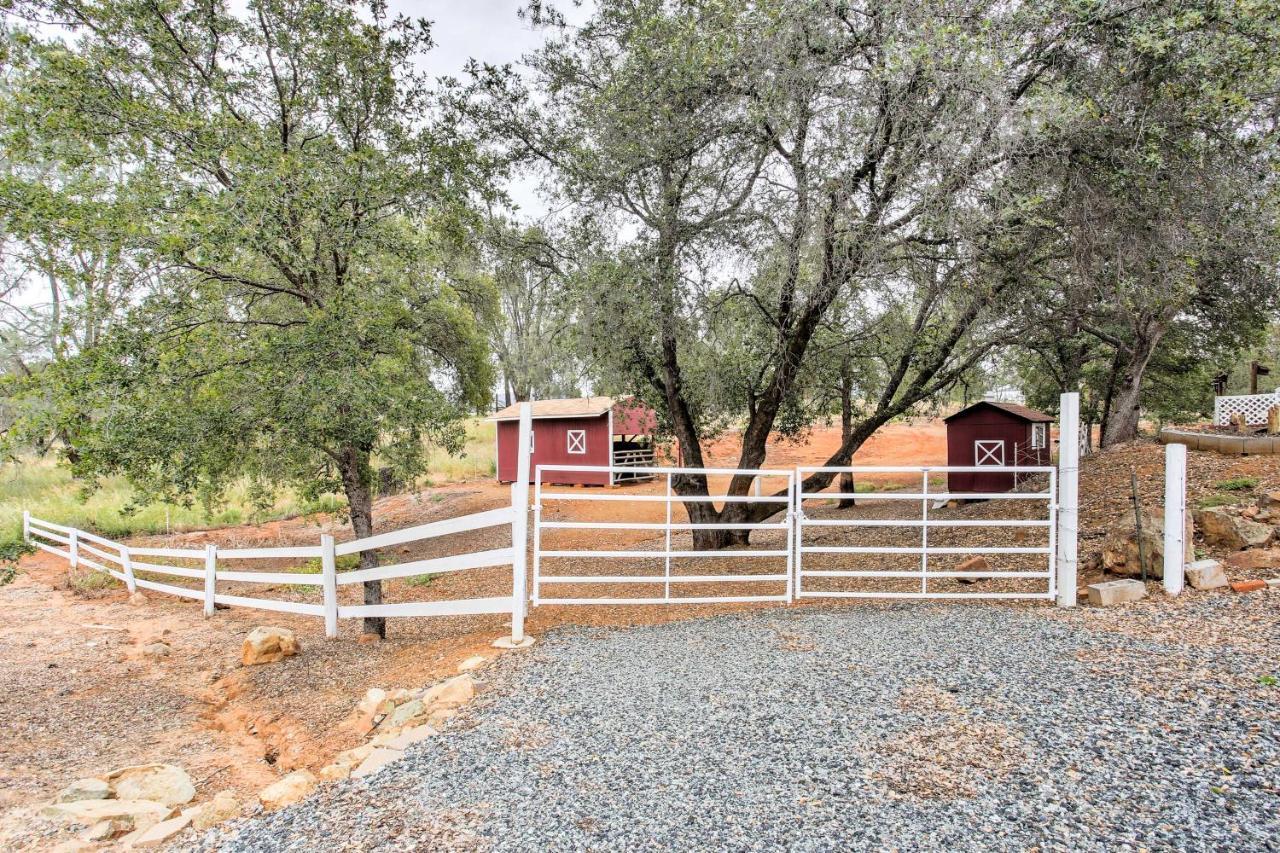 Peaceful Serenity Ranch - Day Trip To Yosemite! *